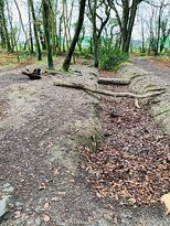 Balrath Woods-Burtonstown必去景点