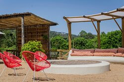 Go Organic Experience主图