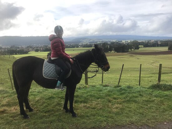 Ruapehu Homestead景点图片