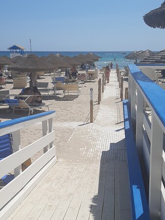 Palazzo Dante-官方