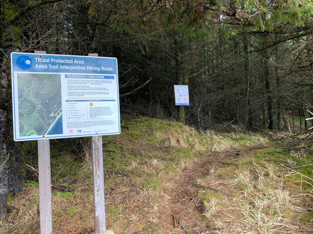 Anvil Trail
