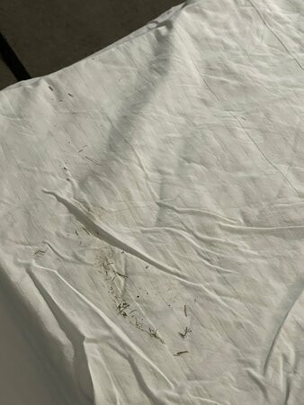 Best Western Plus Lee's Summit Hotel & Suites主图