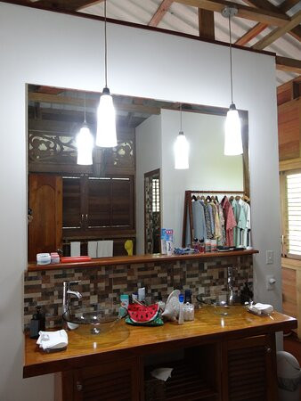 The Hummingbird主图