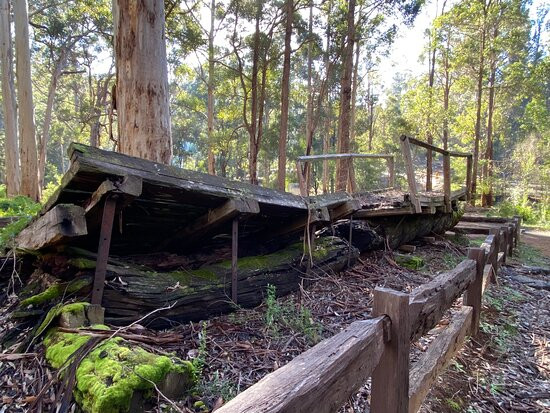 One Tree Bridge-Manjimup必去景点