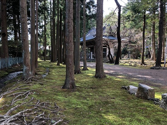 Hogenji Temple-松前町必去景点