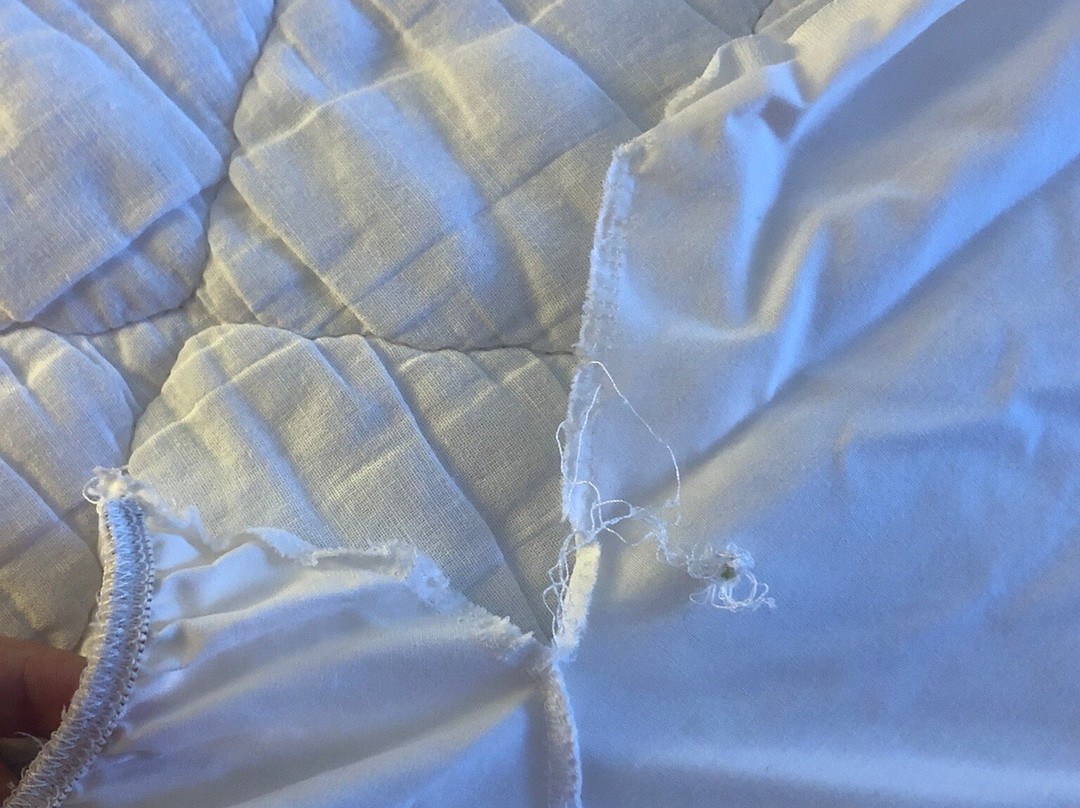 White Tail Resort主图