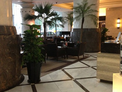 Gallery 1