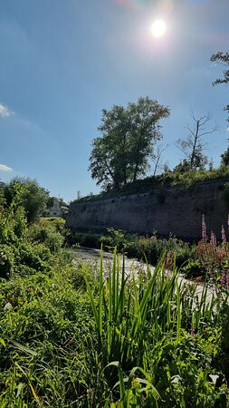 Parc de la Citadelle-里尔必去景点