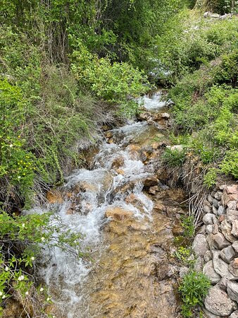 Bed and Breakfast on Mitchell Creek主图