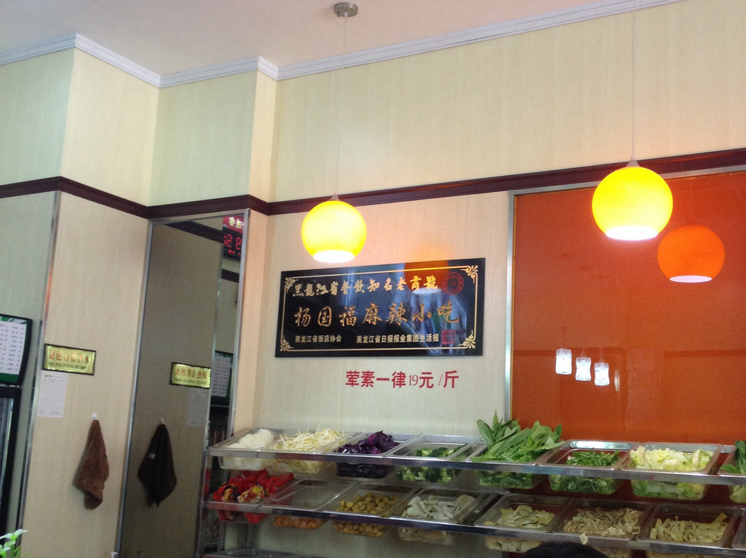 齐齐哈尔市餐馆和美食-杨国福