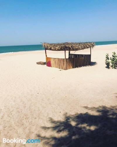 JellyTrees Beach Camping