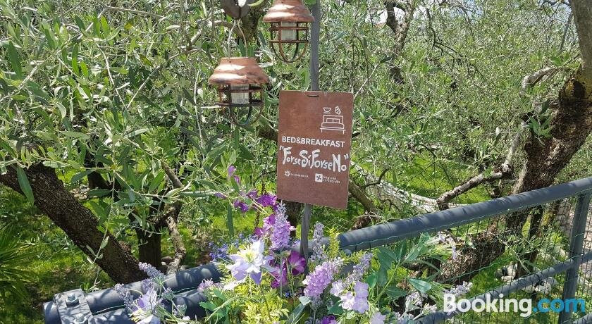 B&B ForseSiForseNo主图