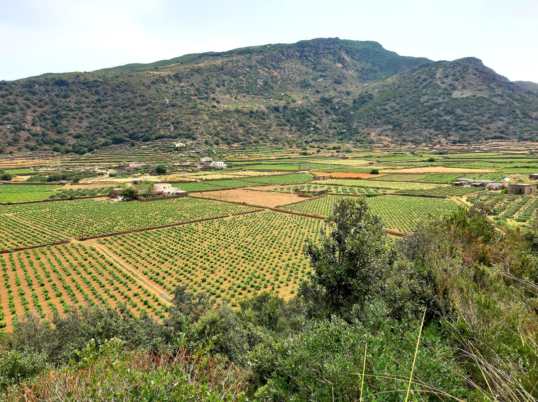 Piana di Monastero景点图片