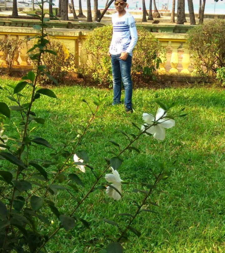 Colva Residency主图