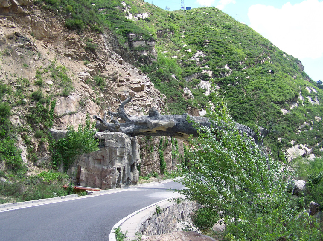 天生桥国家地质公园