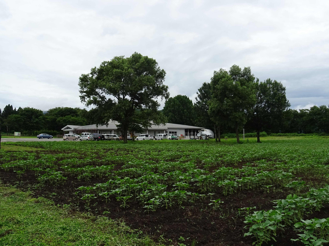 Tsunan Agriculture and Jomon Era Experience Training Hall Najomon景点图片