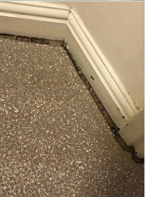 The Wensleydale Hotel主图