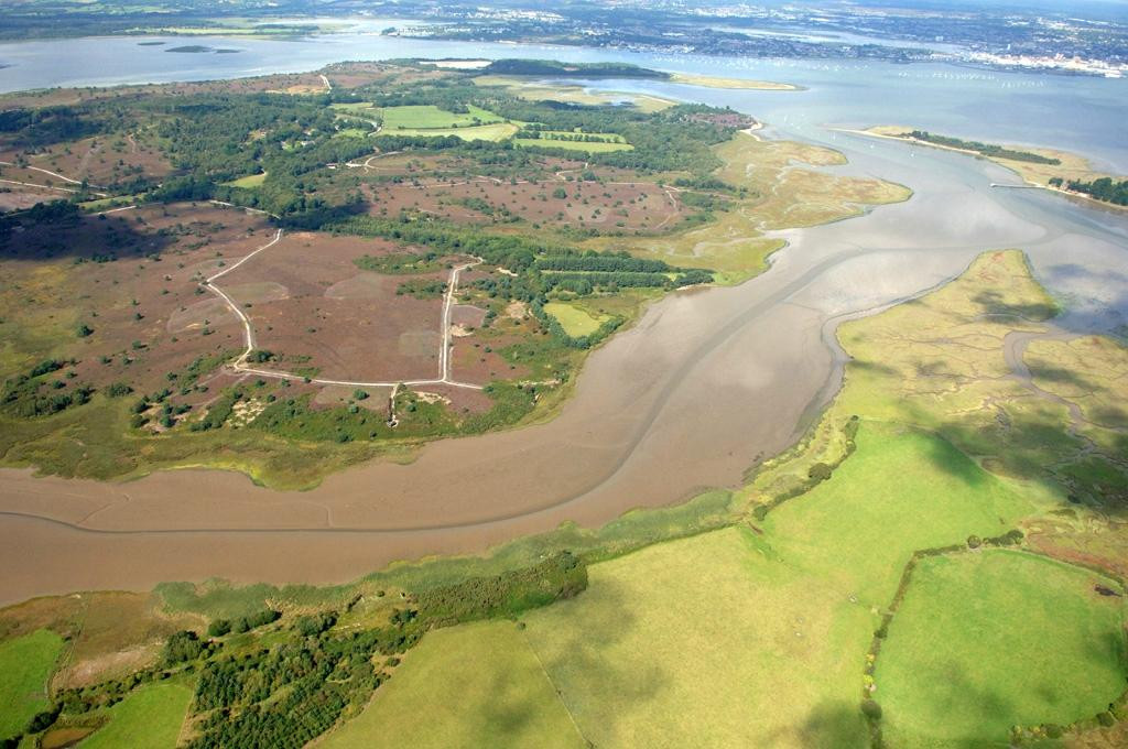 RSPB Arne-Arne必去景点