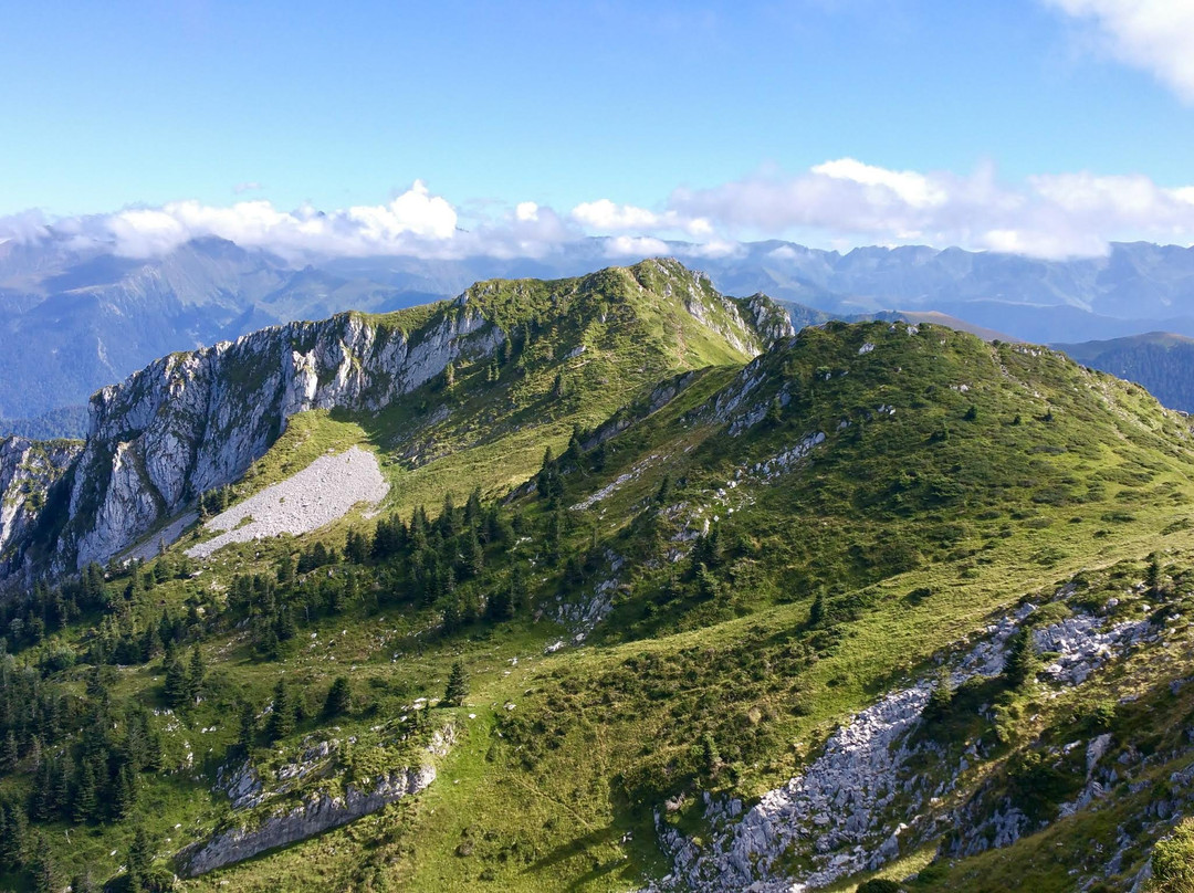 Haute-Garonne旅游攻略图片