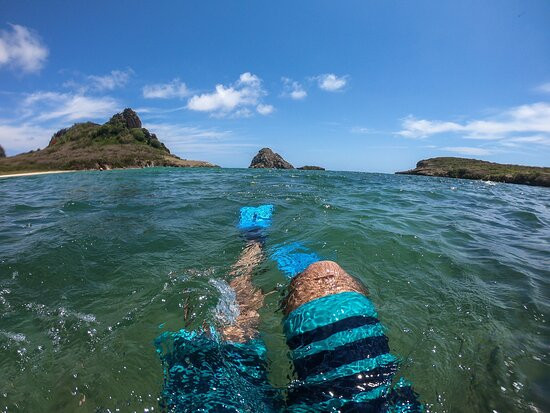 Baia do Sueste-费尔南多-迪诺罗尼亚群岛必去景点