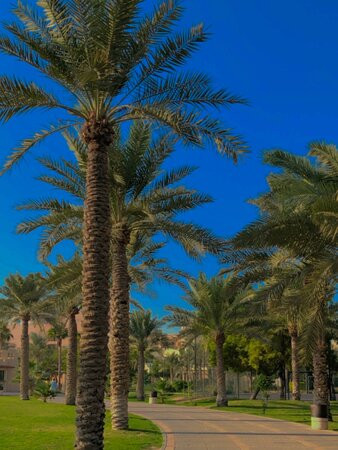 Al Andalus Plaza Hotel主图