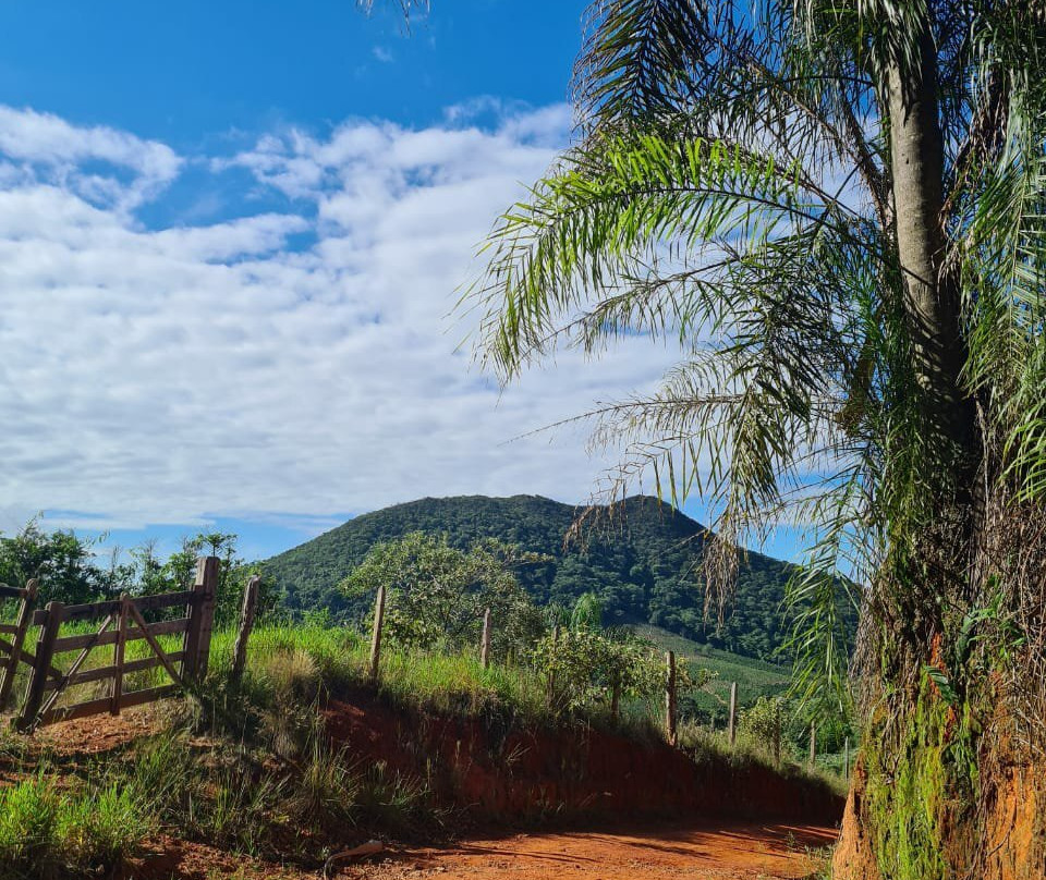 Pico da Forquilha-Jacutinga必去景点