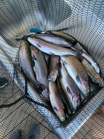 Dave's Guide Service-布兰森必去景点