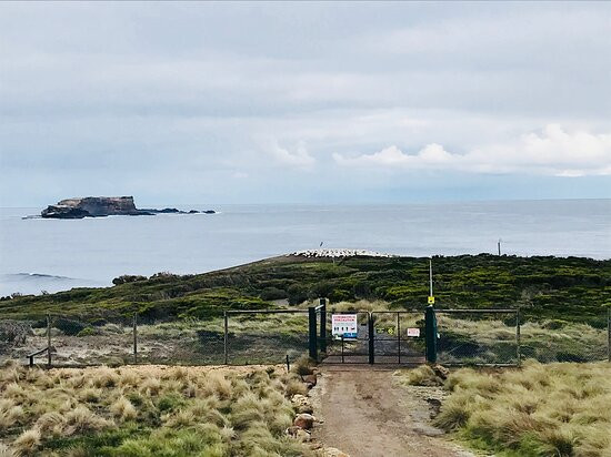 Point Danger Gannet Colony-波特兰必去景点