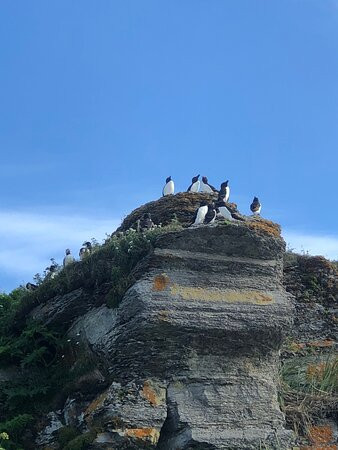 Phare de l'Île aux Perroquets-Longue-Pointe-de-Mingan必去景点