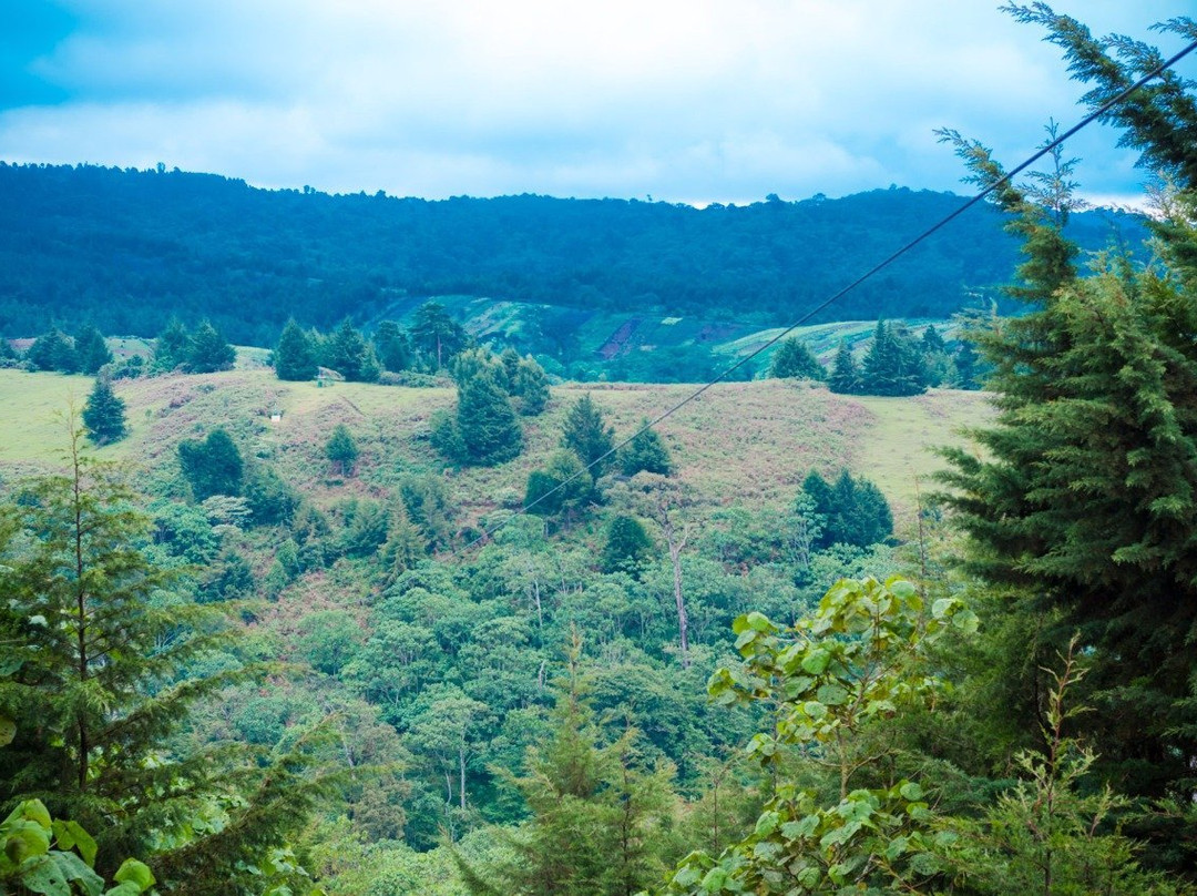 The Forest Adventure Centre景点图片