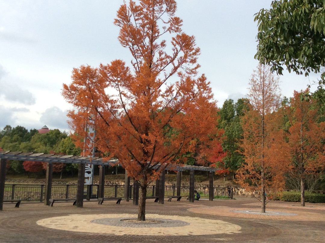 东温市旅游景点-Toon Park