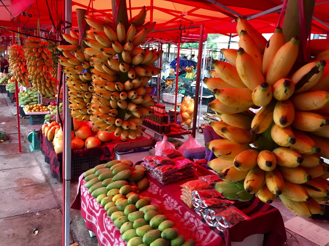 原阳县旅游景点-玉皇阁（阳原）