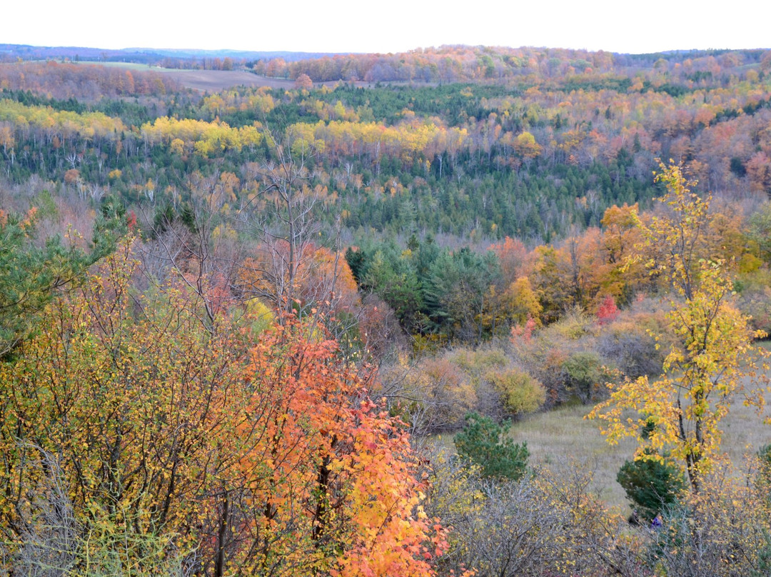 Boyne Valley Provincial Park景点图片