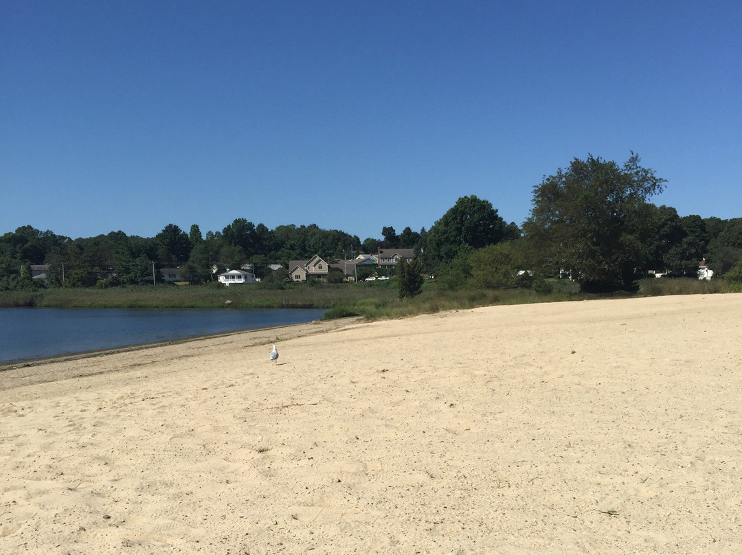 Pierce Beach & Playground景点图片