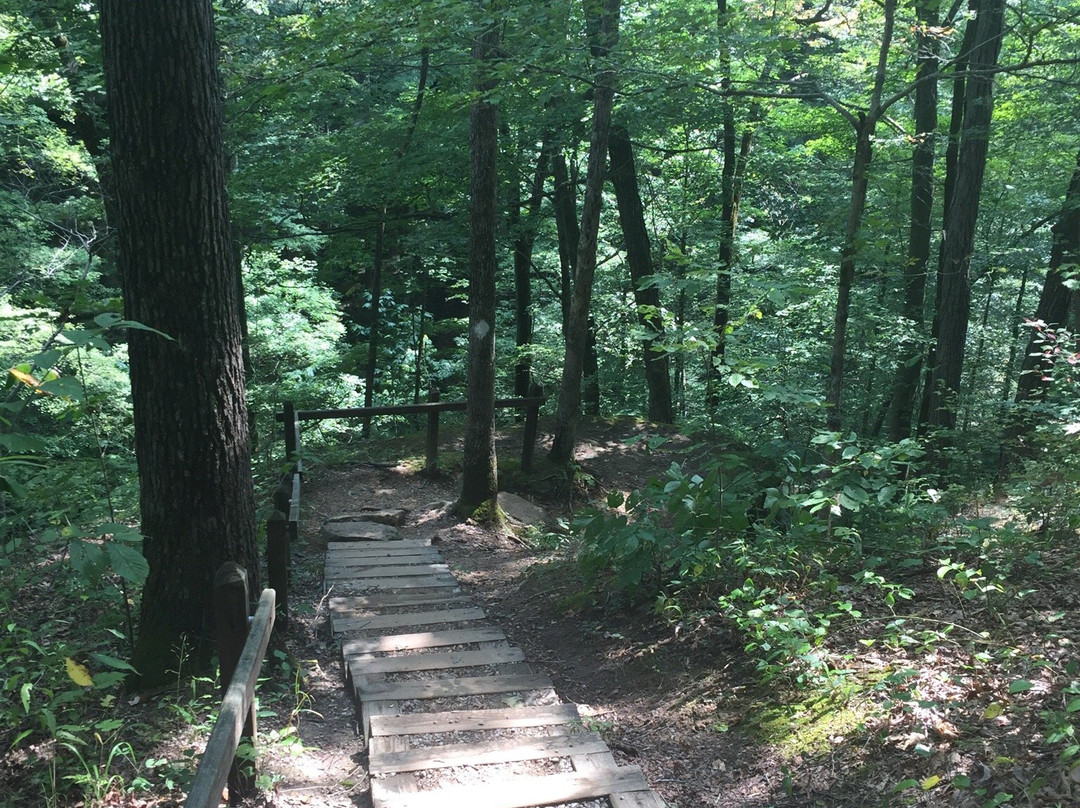 English旅游攻略图片