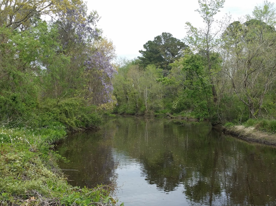 Manokin River Park-Princess Anne必去景点