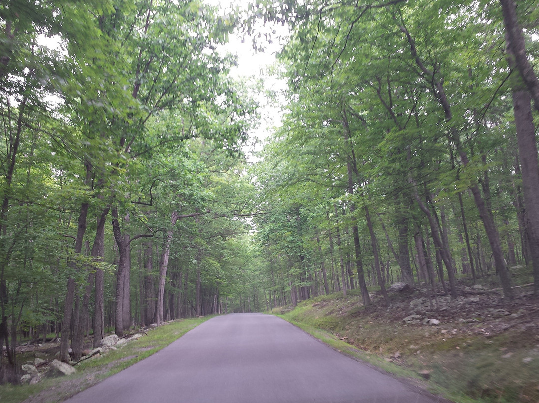 Flintstone旅游攻略图片