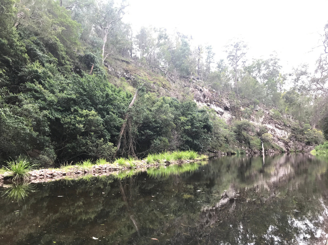 Brogo旅游攻略图片