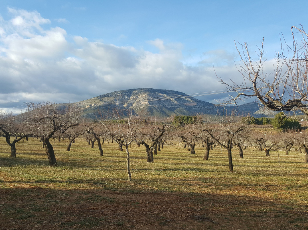 Vilar de Canes旅游攻略图片