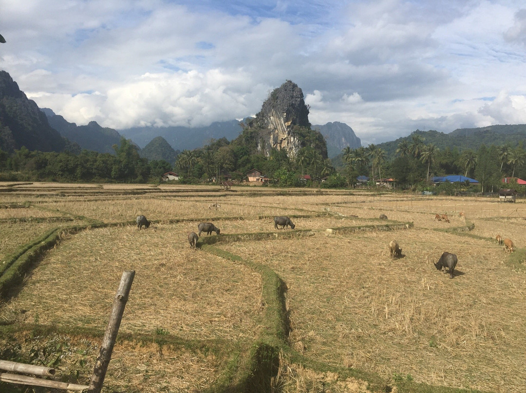 Green Discovery Laos-旺阳必去景点