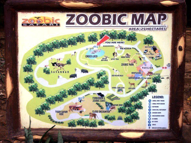 Zoobic Safari景点图片
