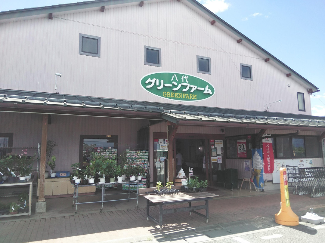 Fuefuki Yatsushiro Agricultural Products Direct Sale Place Green Farm景点图片