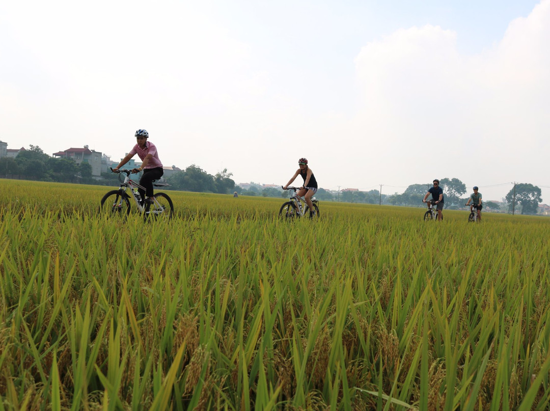 Bicycle Tours Hanoi-河内必去景点