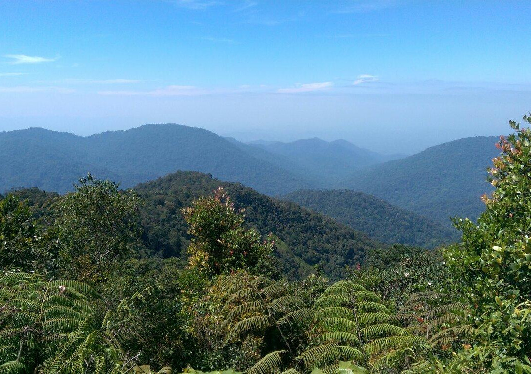 Pine Tree Trail景点图片