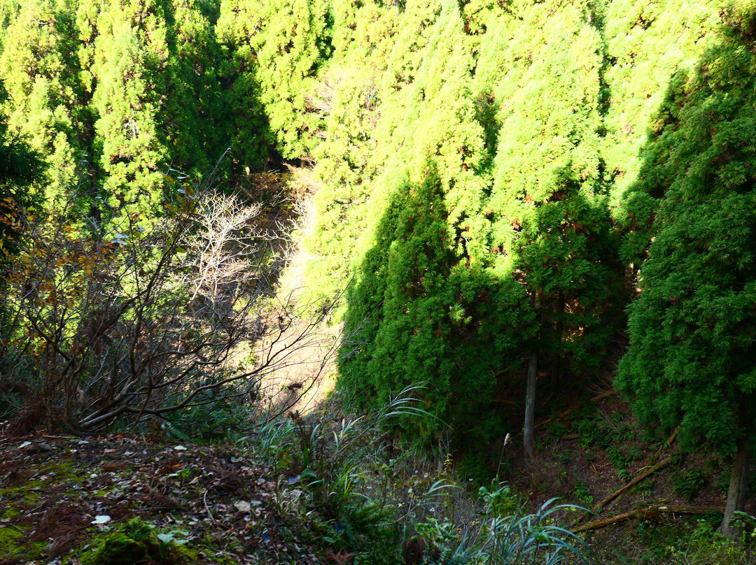 Genbao Castle Ruins-长滨市必去景点