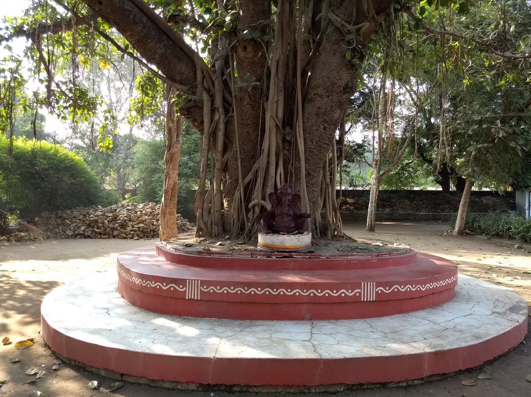 Yavatmal旅游攻略图片