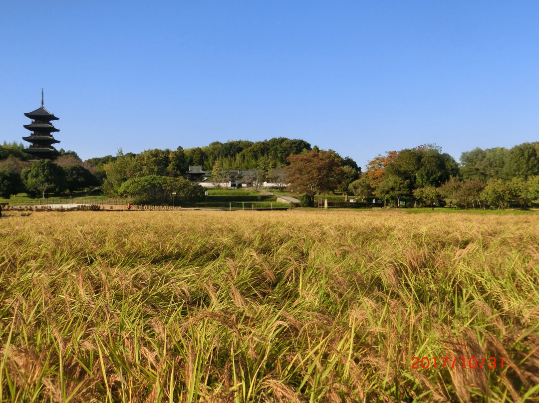 The Remain of Bicchu Kokubunni-Ji Temple景点图片