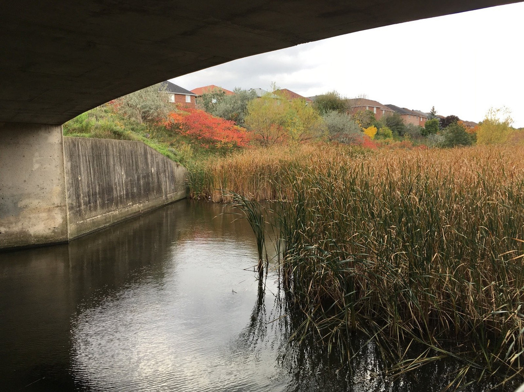 Lisgar Meadow Brook Trail-米西索加必去景点
