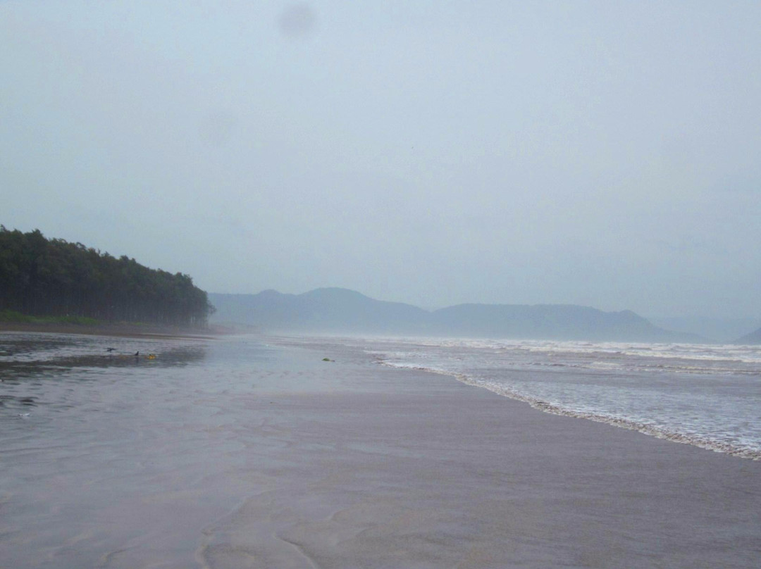Nagaon Beach景点图片