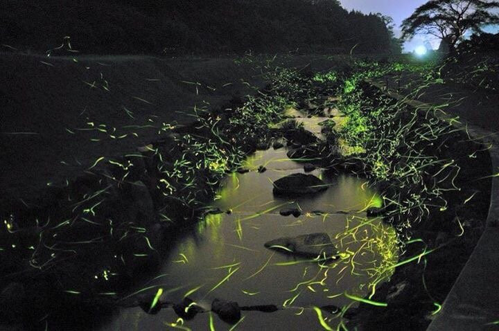 Tsuguro Ikimono Fureai no Sato-真庭市必去景点